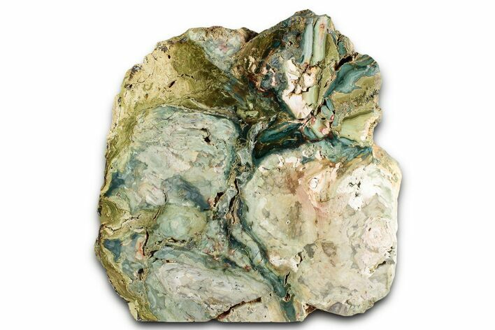 Free-Standing, Gary Green Jasper (Larsonite) Bog Wood - Oregon #334734